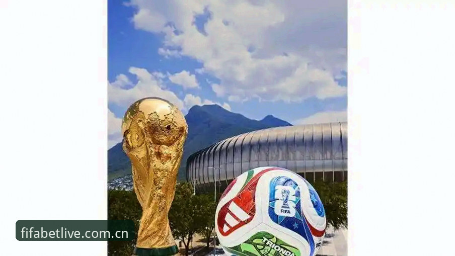 资深球迷分享：用2026世界杯买球平台回顾埃梅里欧联封王之路的深度体验